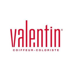 Logo Valentin