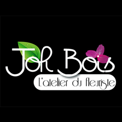 Logo Joli Bois