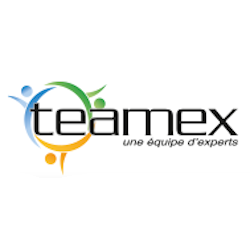 Logo Teamex