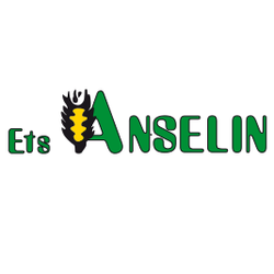 Logo Anselin SA