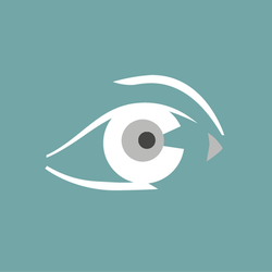 Logo Top Optique