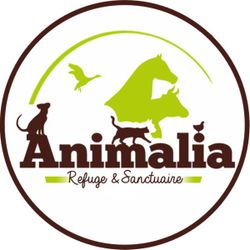 Logo Animalia - Refuge & Sanctuaire