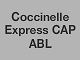 Logo Coccinelle Express
