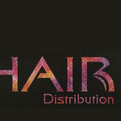 Logo HAIR Distribution
