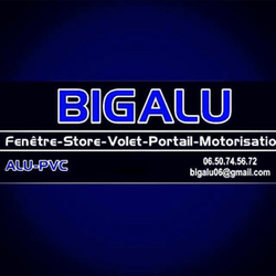 Logo Big Alu