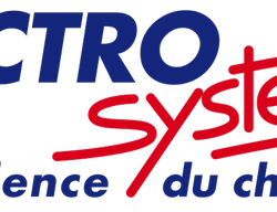 Logo Electro System