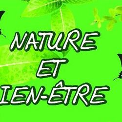 Logo Nature Et Bien-être