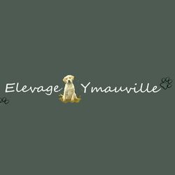 Logo ELEVAGE D'YMAUVILLE