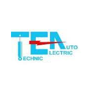Logo Technic Electric Auto SARL