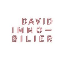 Logo David Immo Montmartre-Abbesses