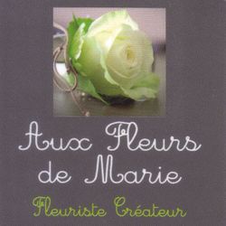 Logo Aux Fleurs De Marie
