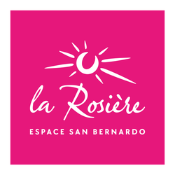 Logo Domaine Skiable de La Rosière