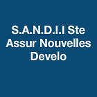 Logo Sandii