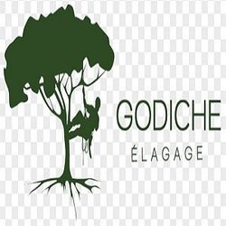 Logo Entreprise Godiche