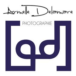 Logo Delamare Armelle