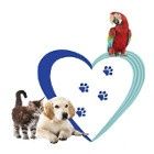 Logo Kool Animaux 56