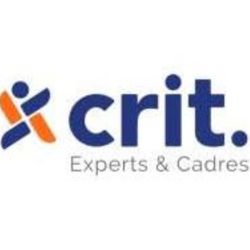 Logo CRIT STRASBOURG Experts & Cadres