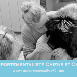 Logo Comportementaliste 92