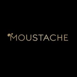 Logo Glaces Moustache