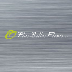 Logo O Plus Belles Fleurs
