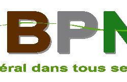 Logo BPN45