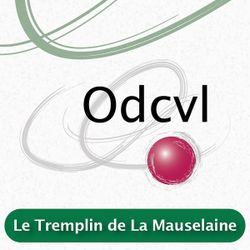 Logo Odcvl Le Tremplin de La Mauselaine
