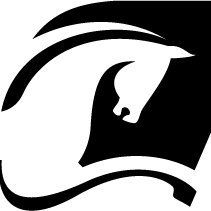 Logo Banque Palatine