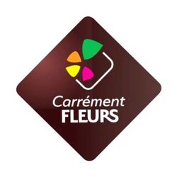 Logo Carrément Fleurs