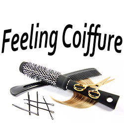 Logo Feeling