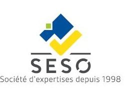 Logo SESO Groupe Duo Diag