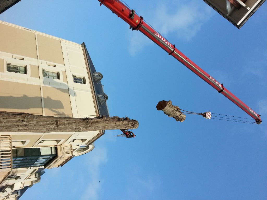Photo d'illustration 1 sur 1