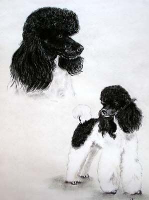 Photo d'illustration 4 sur 6