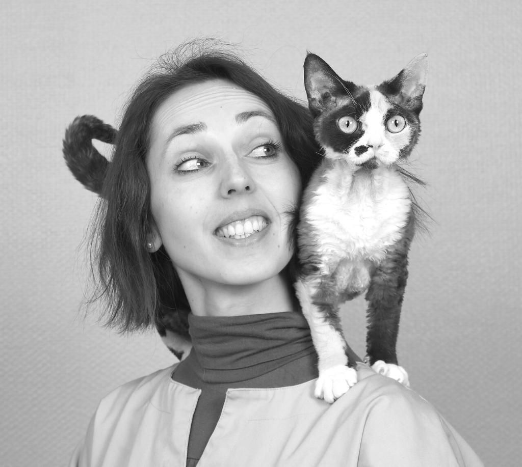 Photo d'illustration 1 sur 3