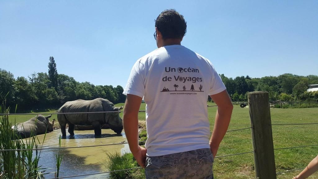 Photo d'illustration 1 sur 1