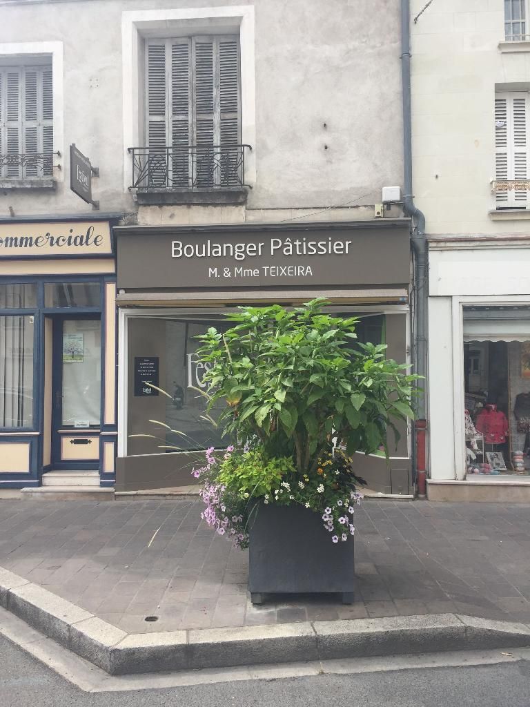 Photo d'illustration 1 sur 1