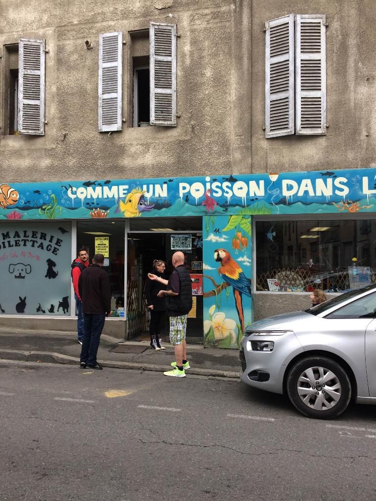 Photo d'illustration 1 sur 1