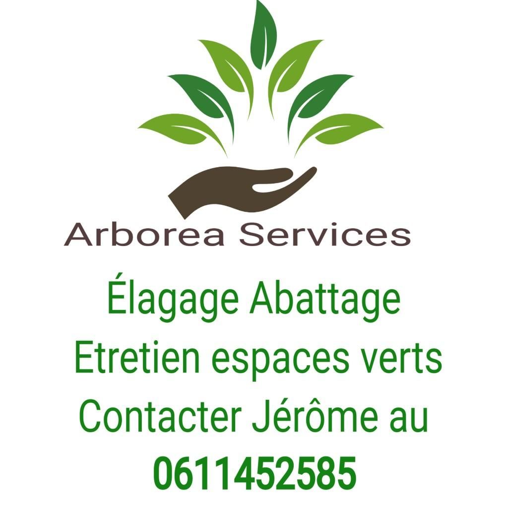 Photo d'illustration 1 sur 1