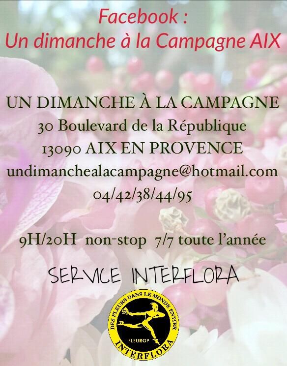 Photo d'illustration 4 sur 7