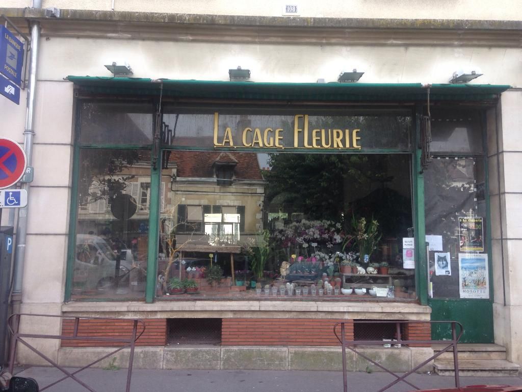 Photo d'illustration 1 sur 1