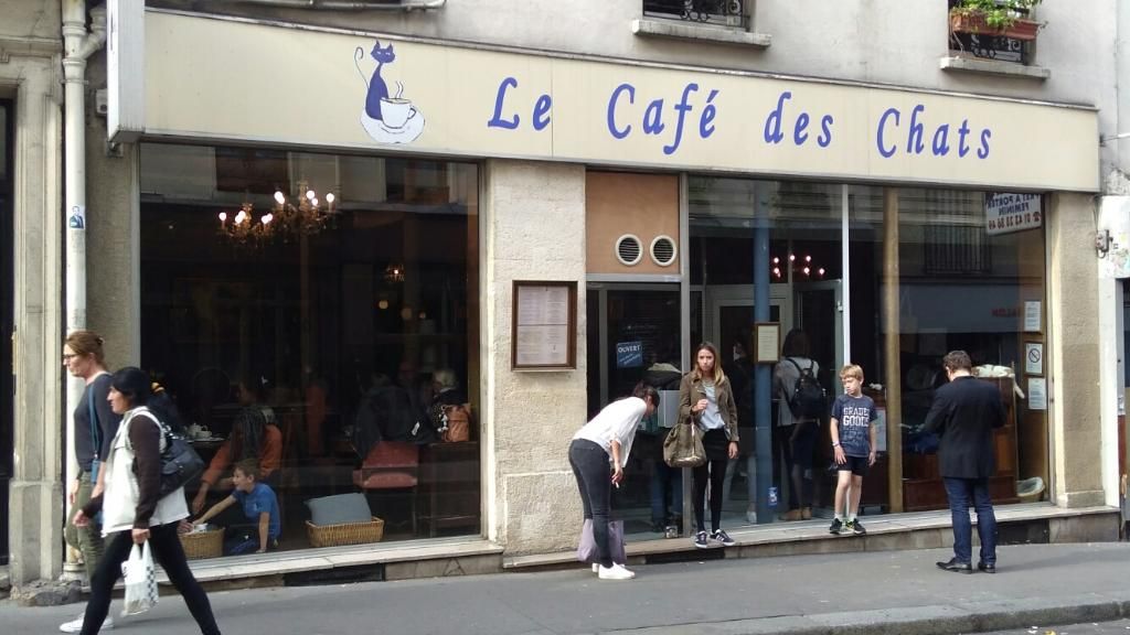 Photo d'illustration 1 sur 1