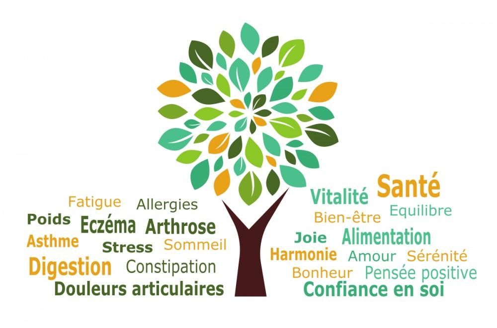 Photo d'illustration 4 sur 5