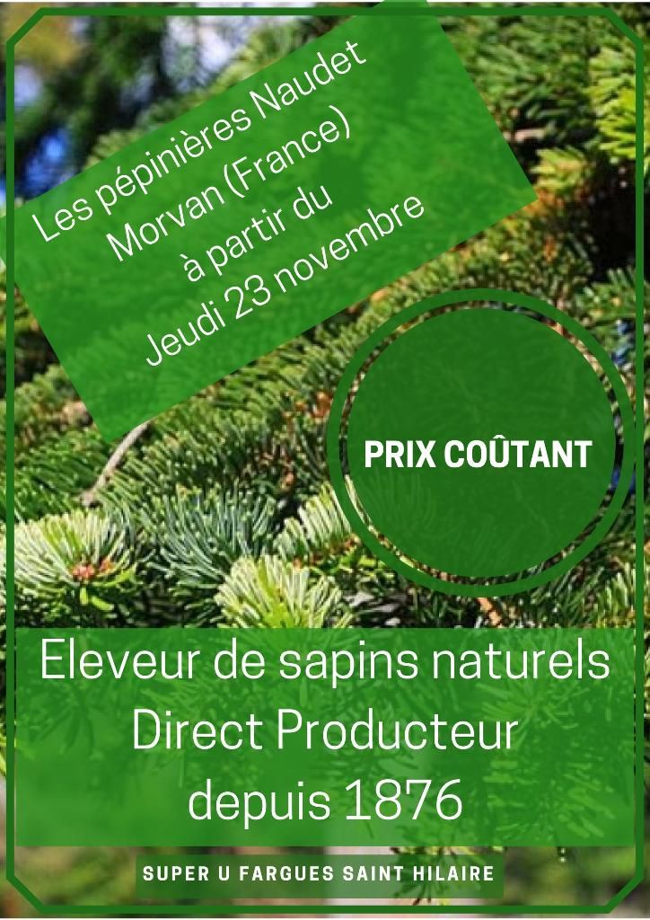 Photo d'illustration 3 sur 12