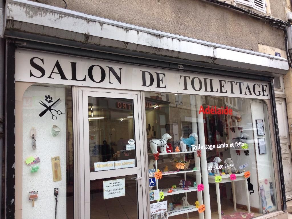Photo d'illustration 1 sur 1