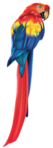 Photo d'illustration 1 sur 3