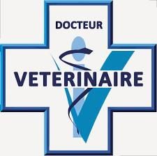 Photo d'illustration 1 sur 2