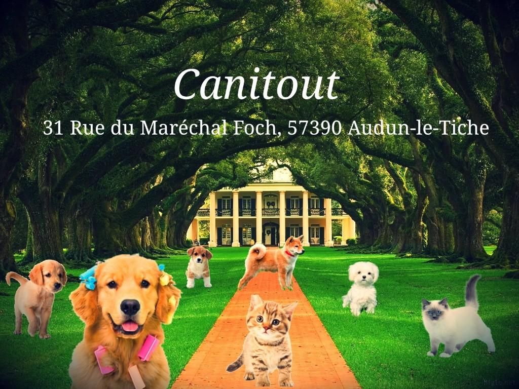 Photo d'illustration 1 sur 1