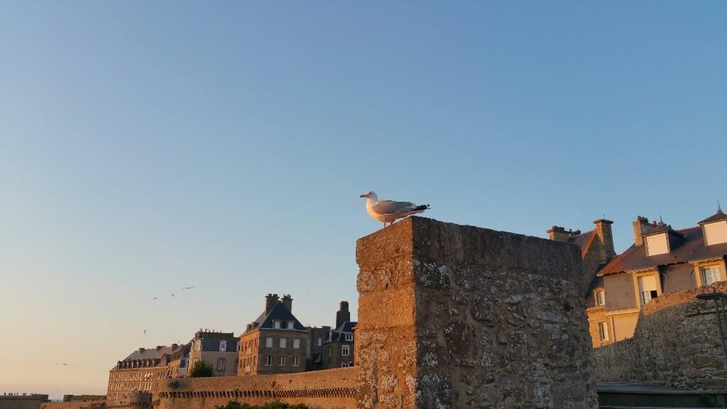 Photo d'illustration 2 sur 12