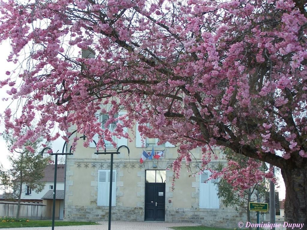 Photo d'illustration 3 sur 4