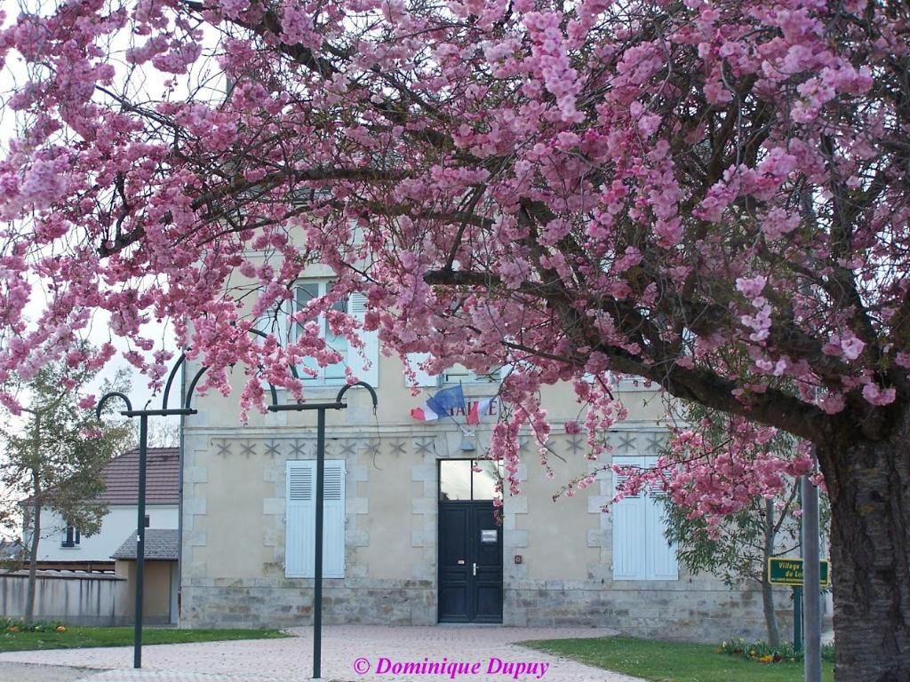 Photo d'illustration 4 sur 4