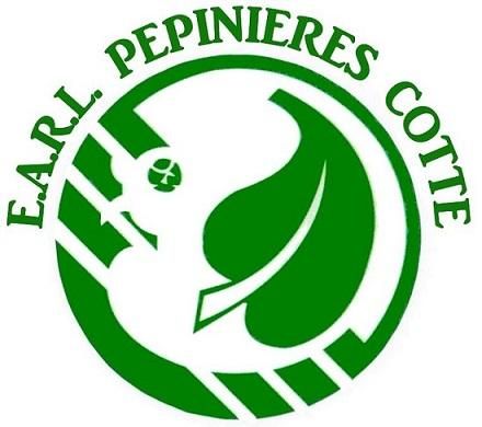 Photo d'illustration 1 sur 1